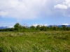 Copeland Acreage