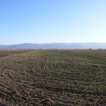 Parcel 6 Trout's Ranch Western View