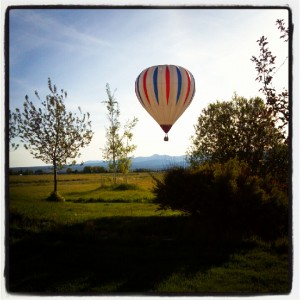 Hot Air Balloon, Teton Valley ID