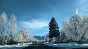 Downtown Driggs 2 hoar frost January 2105