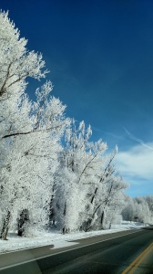Ski Hill Road 5 hoar frost 1-15-15