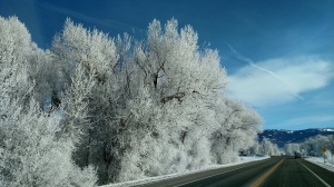 Ski Hill Road 4 hoar frost 1-15-15