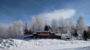 Redtail 4 hoar frost January 2015