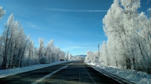 Ski Hill Road 2 hoar frost January 2015