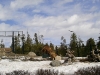 Grizzly Bear Product Testing