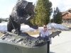 The Grizzly and Wolf Discovery Center - West Yellowstone Montana