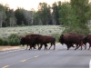 Grand Teton National Park