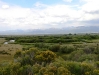 Teton River - Wetlands Area