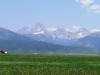 Teton View - Summer